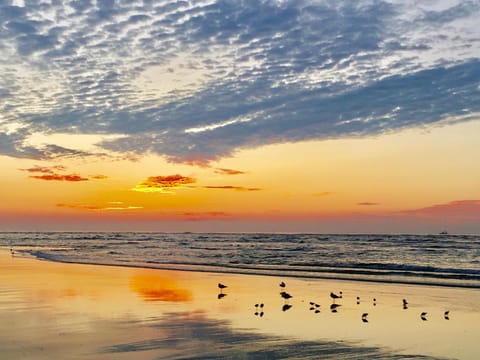 Off site, Beach, Sunrise