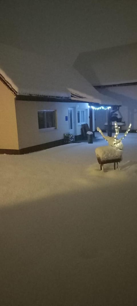 Property building, Night, Winter