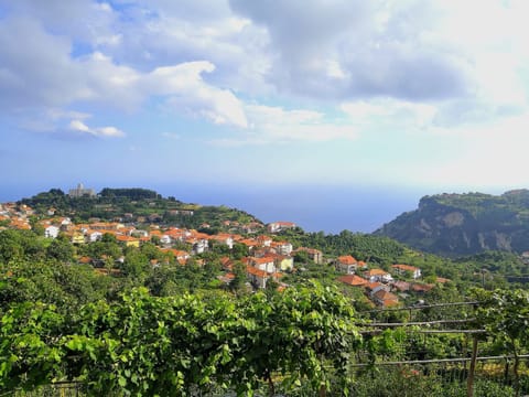 Other, Hiking, City view, Sea view