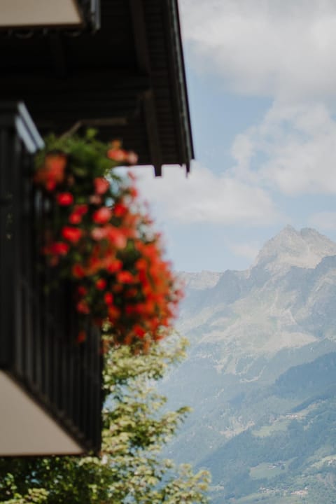 Natural landscape, Mountain view