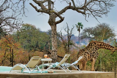 Spring, Swimming pool, Swimming pool