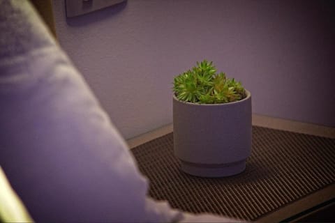 Villa Radić Bed and Breakfast in Dubrovnik-Neretva County