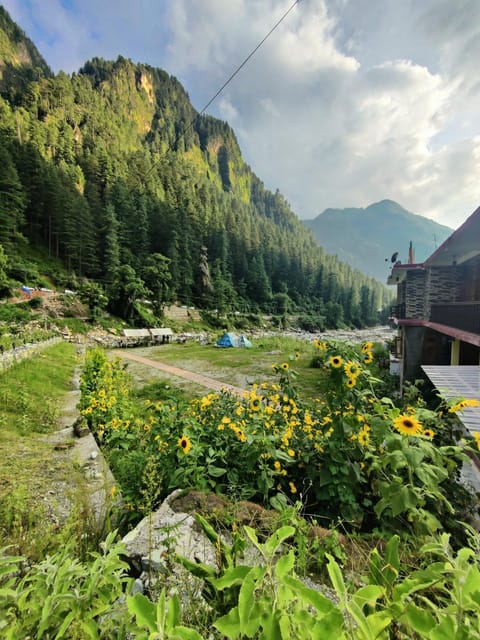 Natural landscape