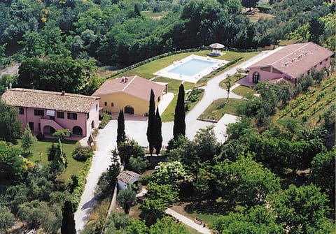 Bird's eye view, Garden