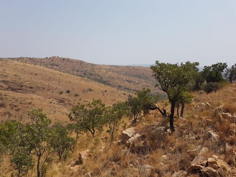 Hiking