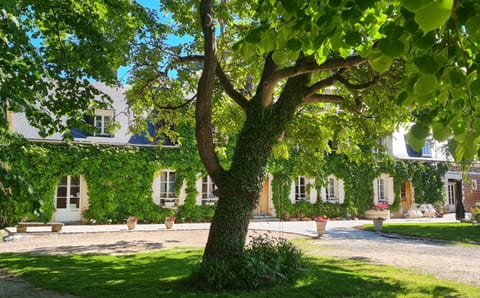 La Tilia Bed and Breakfast in Hauts-de-France