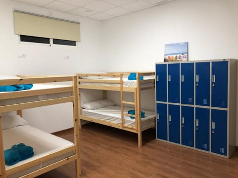 bunk bed