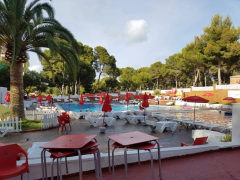 Day, Pool view, Swimming pool, sunbed