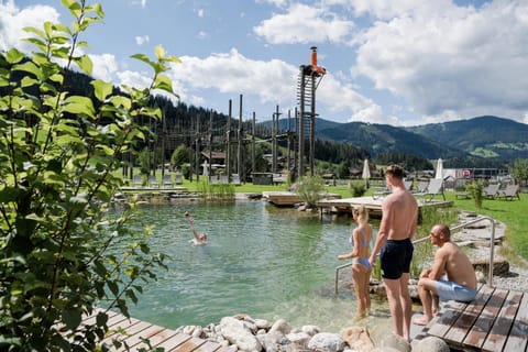 Activities, Summer, Beach, Lake view, Swimming pool, group of guests