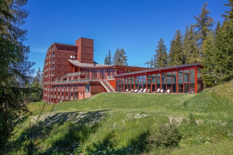 Property building, Summer