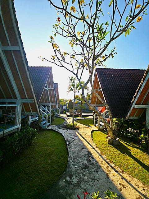 Property building, Garden, Garden view