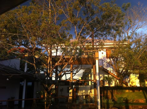 Property building, Day