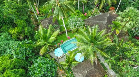 Day, Garden, View (from property/room), Garden view