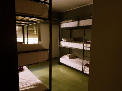 Bed, Photo of the whole room, Bedroom, bunk bed