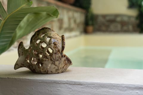 Garden, Pool view, Swimming pool