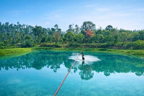Lake view