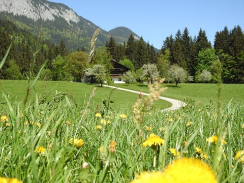 Property building, Spring