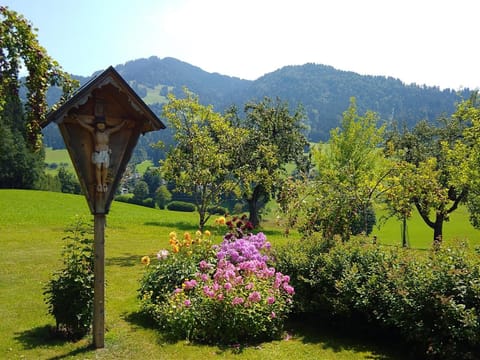 Garden, Mountain view