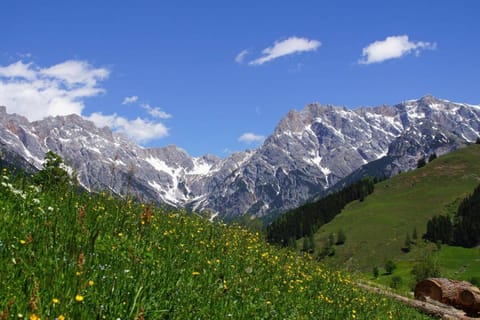 Natural landscape, Mountain view