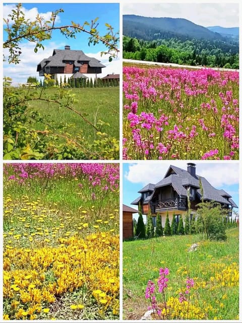 Apartments Milic Apartment in Zlatibor District, Serbia