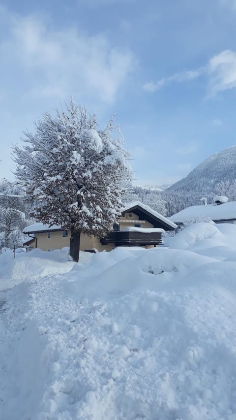Appartement Müllner Apartment in Salzburgerland
