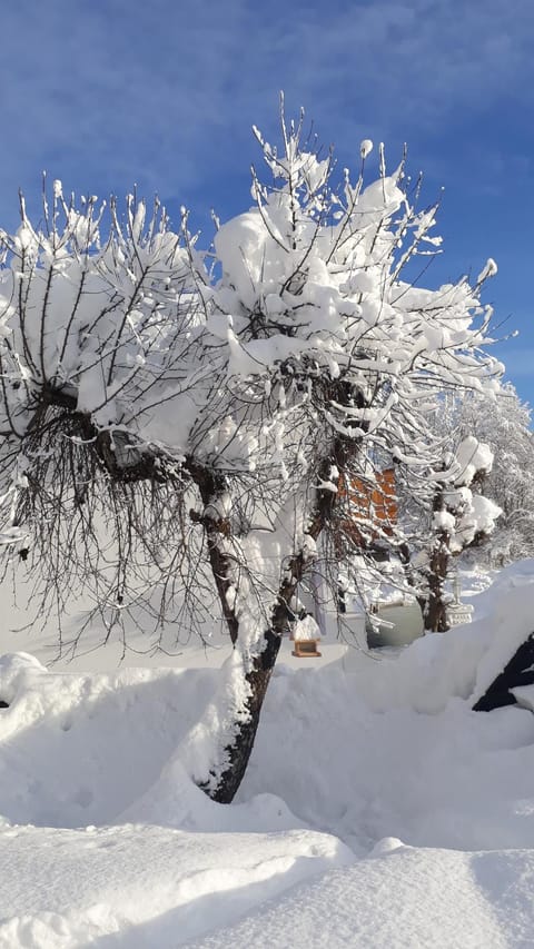Appartement Müllner Apartment in Salzburgerland
