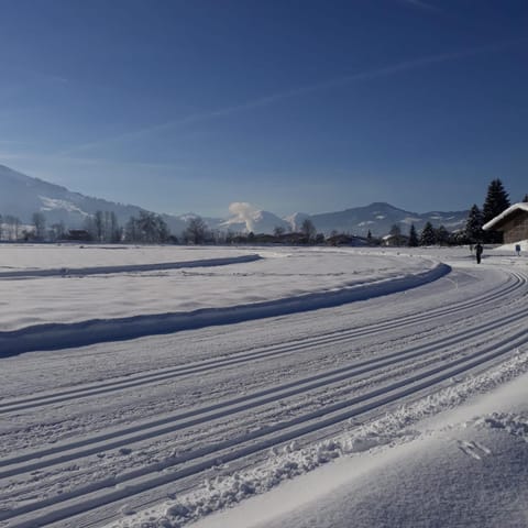 Appartement Müllner Apartment in Salzburgerland
