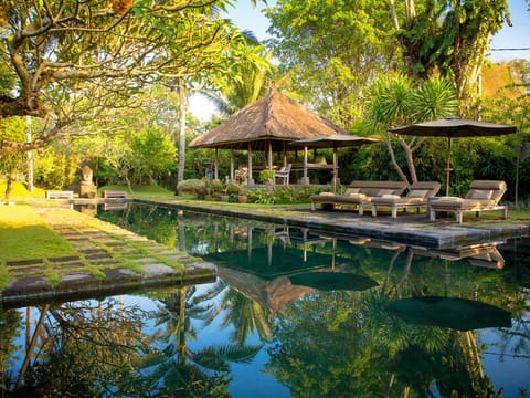 Patio, Garden, Swimming pool