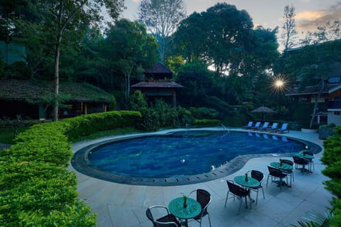 Garden view, Pool view, Swimming pool, sunbed