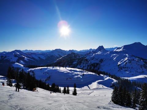 Haus Heckenrose Vacation rental in Salzburgerland