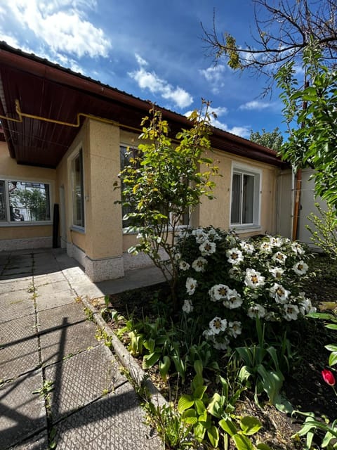 Property building, Day, Garden