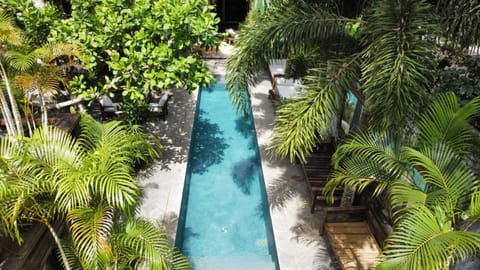 Swimming pool, Swimming pool