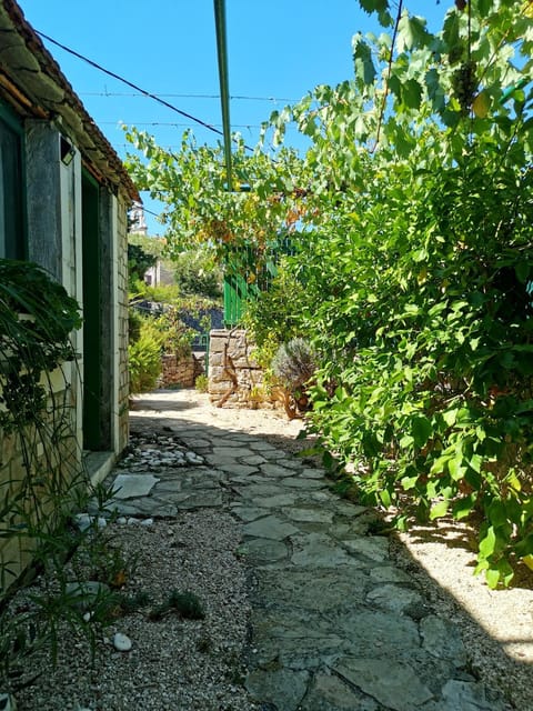 Apartments Lošotovi Vrboska Apartment in Vrboska