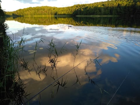Natural landscape, Hiking, Lake view