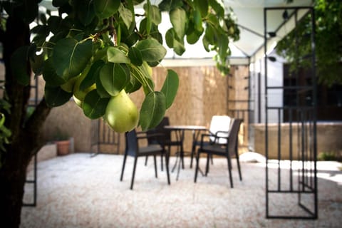 Garden, Other, Area and facilities