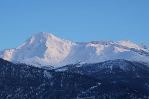 Haya Apartment in Canton of Valais