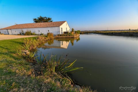 River view