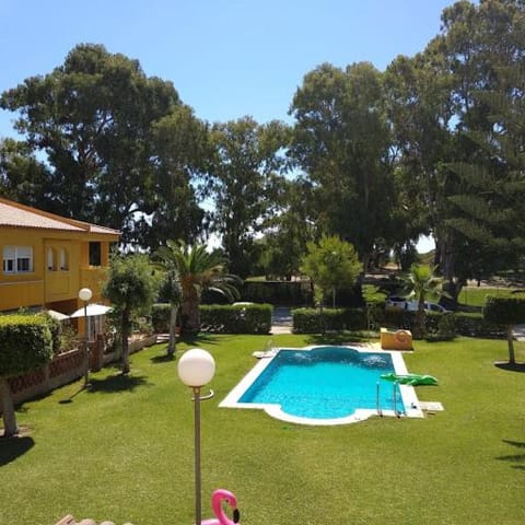 Garden, Swimming pool, Swimming pool