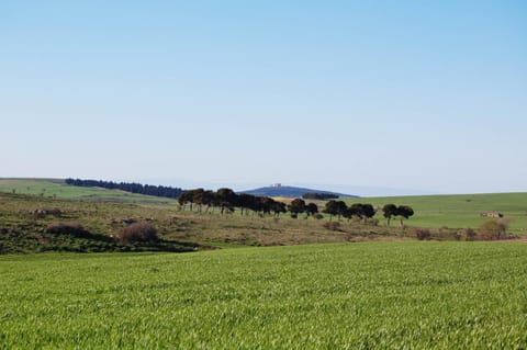 Day, Natural landscape, Other