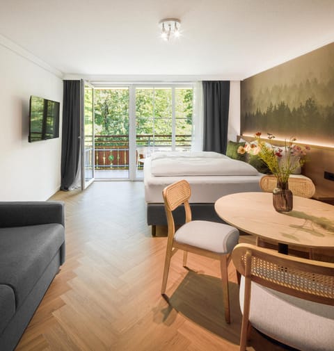 Bed, TV and multimedia, Living room, Photo of the whole room, Seating area, Bedroom