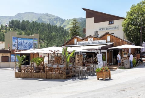 Hotel Edelweiss Hotel in Saint-Étienne-de-Tinée