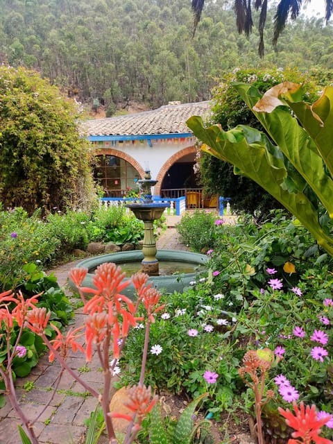 Day, Natural landscape, Garden, Garden view