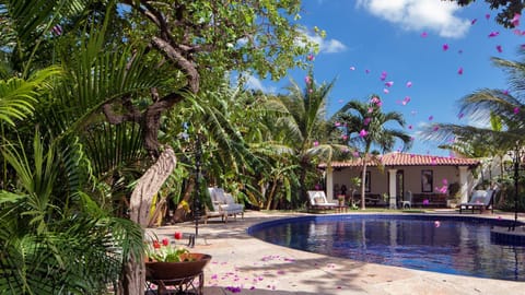 Day, Garden, Garden, Garden view, Pool view, Swimming pool
