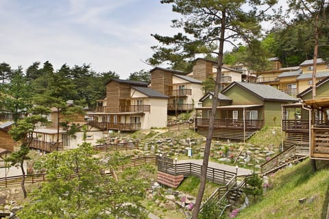 Property building, Natural landscape, Garden