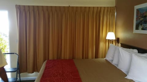 The Palms On Ocean Motel in Pompano Beach