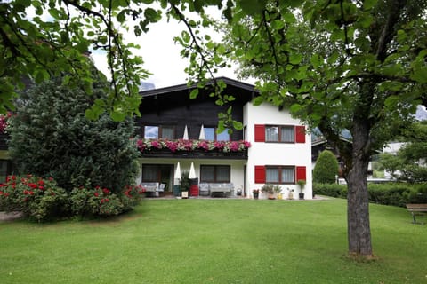 Property building, Day, Garden
