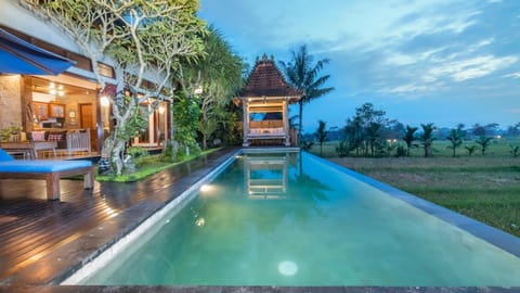 Night, Natural landscape, Garden, Garden view, Pool view, Swimming pool, sunbed