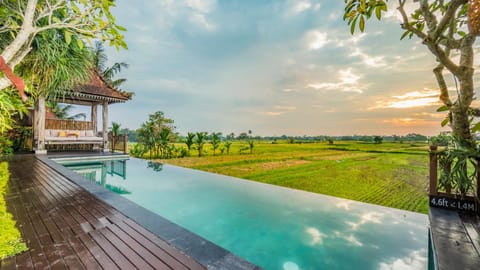 Natural landscape, Garden, Pool view, Swimming pool, Sunset