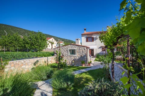 Patio, Natural landscape