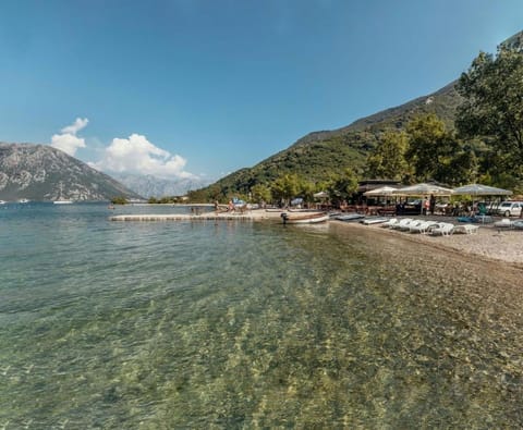 Bobana Apartments Apartment in Kotor Municipality